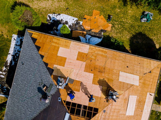 Best Roof Gutter Cleaning  in Elgin, MN
